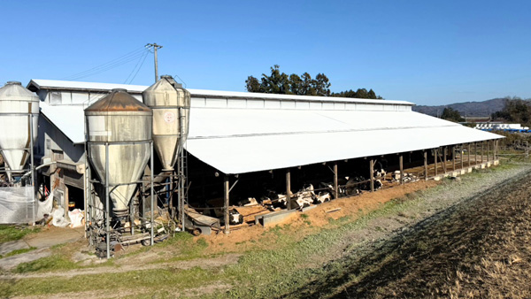 暑熱材塗布後の様子