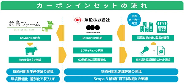 カーボンインセットの流れ