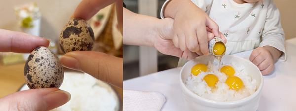 農場採れたての新鮮なうずら卵