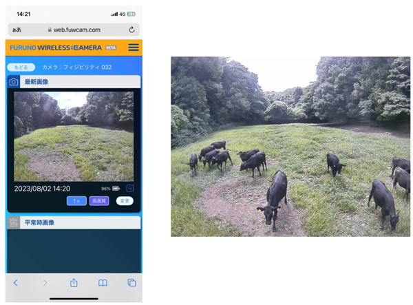 802.11ahに適用した遠隔監視の画像。スマートフォンでの監視イメージ（左）とカメラ映像