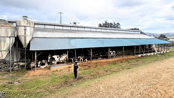 モデル施工時の洗浄の様子