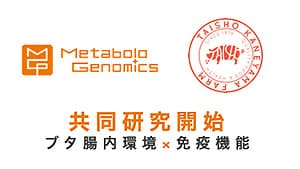 豚の腸内環境が免疫機能に与える影響、畜産技術に応用　山形の企業が共同研究