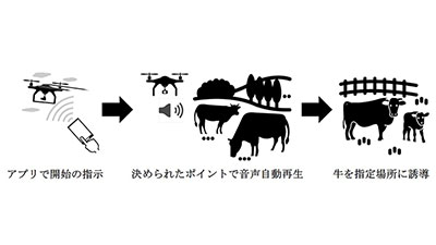 ドローンで牛を誘導　ドコモの実証実験でサポート　テックファーム