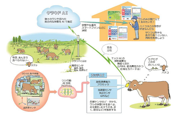 共同プロジェクトチームが目指す将来の畜産イメージ