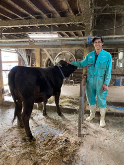 宮城子牛市場のせりで最高値の子牛を育てた新規就農の安藤さん