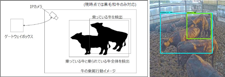 「MOOVIE 発情検知システム