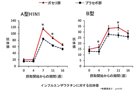 ガセリ菌ＳＰ株の機能をヒト試験で確認 インフルエンザ・ウイルス防御に効果