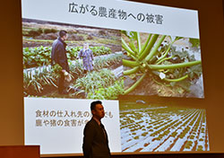 日本ジビエ振興協議会 一般社団法人に