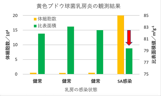 黄色ブドウ球菌に感染した乳房と健常乳房における乳汁の体細胞数と比表面積値の観測例