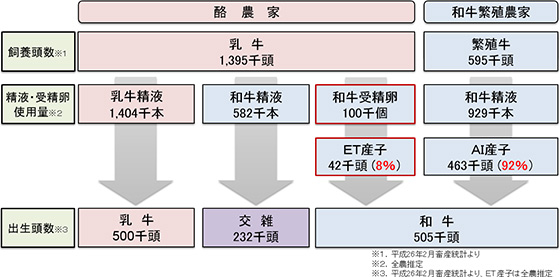 図3　和牛および乳牛の子牛生産状況（平成26年2月の畜産統計ベース）