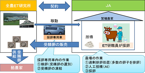 図5 農家採卵モデル