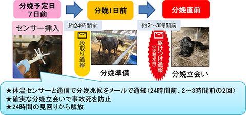 図6 「モバイル牛温恵」の製品概要