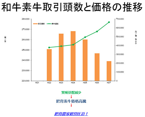 和牛素牛取引頭数と価格の推移