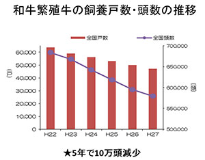 牛繁殖牛の飼養戸数・頭数の推移
