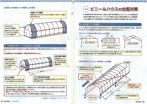 強風に備えハウスを補強