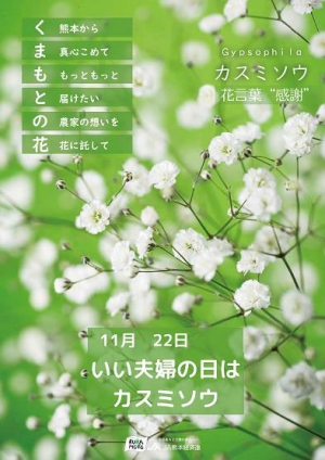 「熊本県産カスミソウフェア」みのる食堂アミュプラザくまもと店で開催　ＪＡ全農.jpg