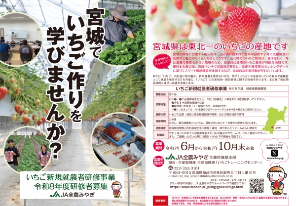 宮城県で令和8年度のいちご新規就農者研修者の募集開始　ＪＡ全農みやぎ
