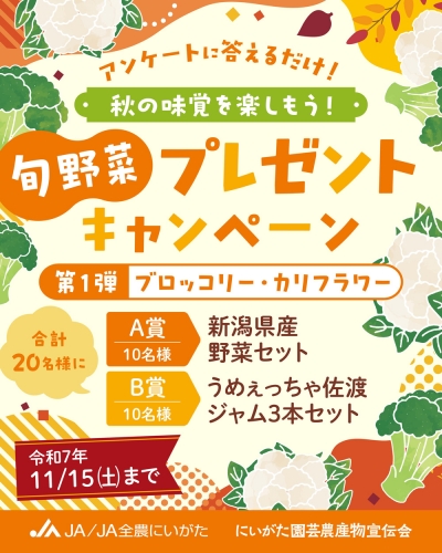 「秋の味覚を楽しもう！旬野菜プレゼントキャンペーン」のチラシ