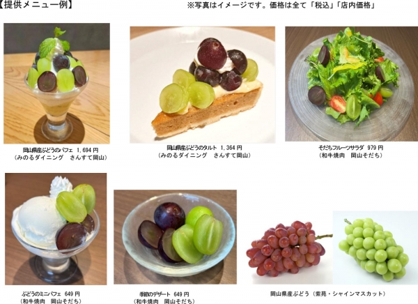 提供メニュー例