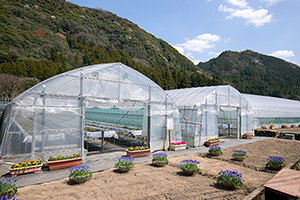 地域集落文産農場のハウス