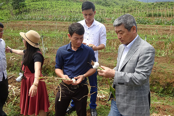 ベトナム・シェンクアン県で種ニンニクの試験栽培を行う近藤氏（写真右）