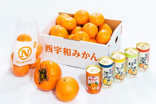 お歳暮用のスペシャルな西宇和みかん箱