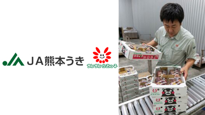 イチジクの出荷続く　ＪＡ熊本うき.jpg