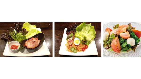東北一のレタス産地から「ＪＡ新いわてレタスフェア」全農直営飲食店舗で開催　ＪＡ全農.jpg