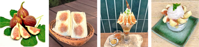 和歌山県産いちじく、みのりカフェ銀座三越で提供のフルーツサンド（670円・税込）、 みのるダイニング名古屋で提供のパフェ（1969円・税込）、 和牛とごはん焼肉じゅん枚方市役所前で提供のパフェ（429円・税込）