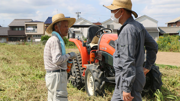 緑肥栽培で品質・収量アップ　組合長がほ場視察で手応え