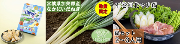 左から、ラプラス笹かまぼこ、宮城県産 なかにいだねぎ（白ネギ）、石巻河北セリ鍋セット(2～3人用)