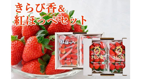 静岡産いちご「紅ほっぺ」「きらぴ香」など対象商品が20％OFF　ＪＡタウン.jpg