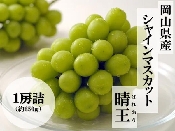岡山の秋のぶどうを楽しむ「早割キャンペーン」開催中　ＪＡタウン_01