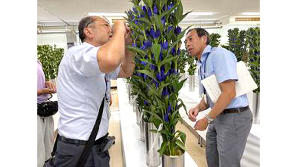 審査の様子