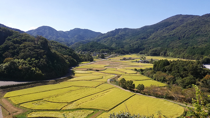 秋季特集：消滅の危機！持続可能な農業・農村の実現と農業協同組合