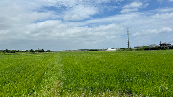 千葉県九十九里地方特有の平地が広がる。