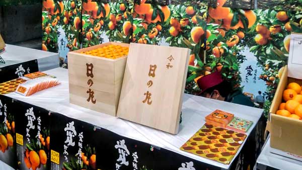 最高金額で落札された桐箱入りの「日の丸みかん」