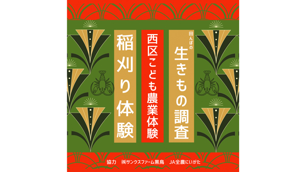 こども農業体験「稲刈り体験＆田んぼの生きもの調査」参加者募集　ＪＡ全農にいがたなどが協力　新潟市.jpg