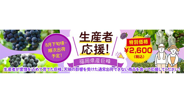 ぶどうを食べて生産者応援　規格外の「福岡県産巨峰」販売　ＪＡタウン.jpg