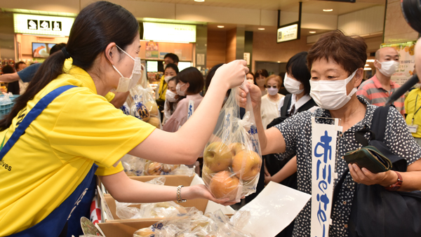 ひょうで傷ついた梨をＪＡが買い取って販売（昨年８月）