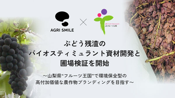 ＪＡフルーツ山梨と「ぶどう残渣」バイオスティミュラント資材開発・圃場検証　AGRI SMILE