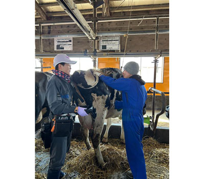 排卵同期化前にエコーで子宮・卵巣の状態を確認する中西さん㊧