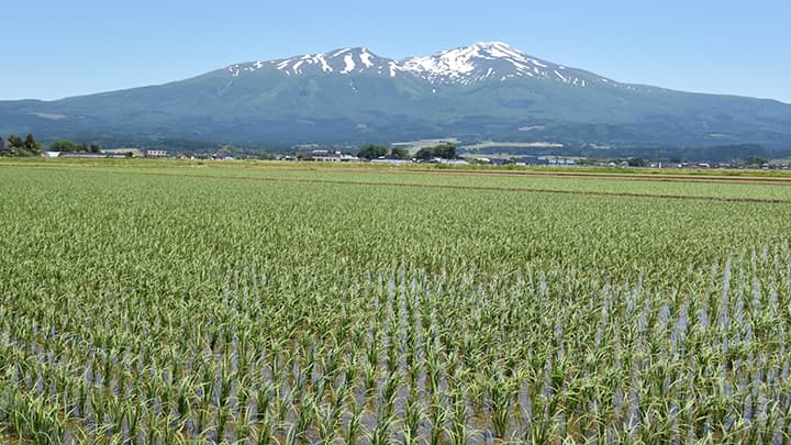 遊佐町