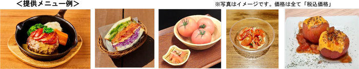提供メニュー例　※価格は全て税込