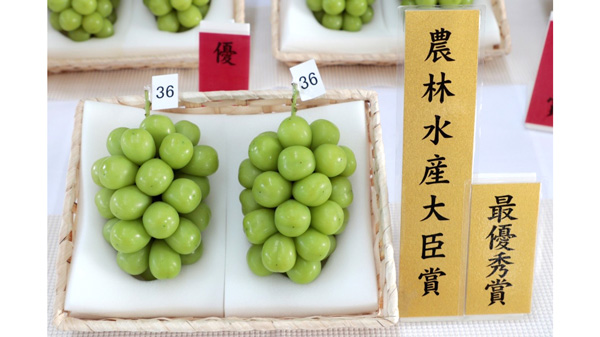 山形県産「シャインマスカット」品評会出品商品を数量限定で予約販売　ＪＡタウン.jpg