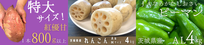 左から、茨城県産「紅優甘」、れんこん、ピーマン