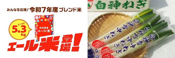 秋田県産ブレンド米「エール米」と秋田県産「白神雪中ねぎ」