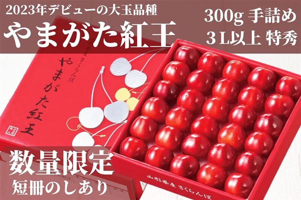 数量限定で新登場の「やまがた紅王」300g手詰め化粧箱入り