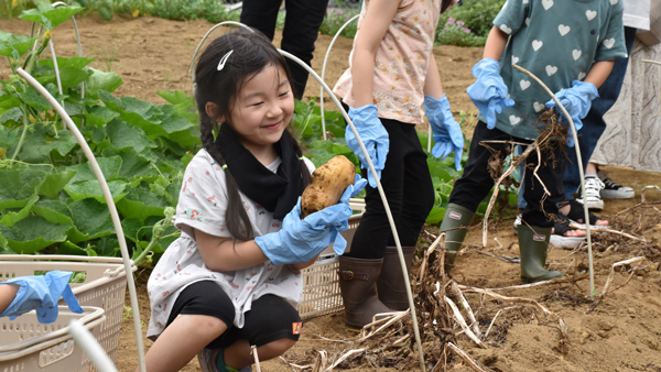 子ども食堂と野菜収穫体験で連携　ファミマとＪＡ東京中央