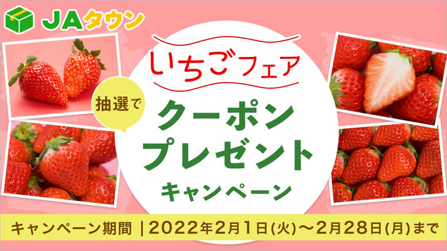 今が旬の人気品種が勢揃い　いちごフェアを開始